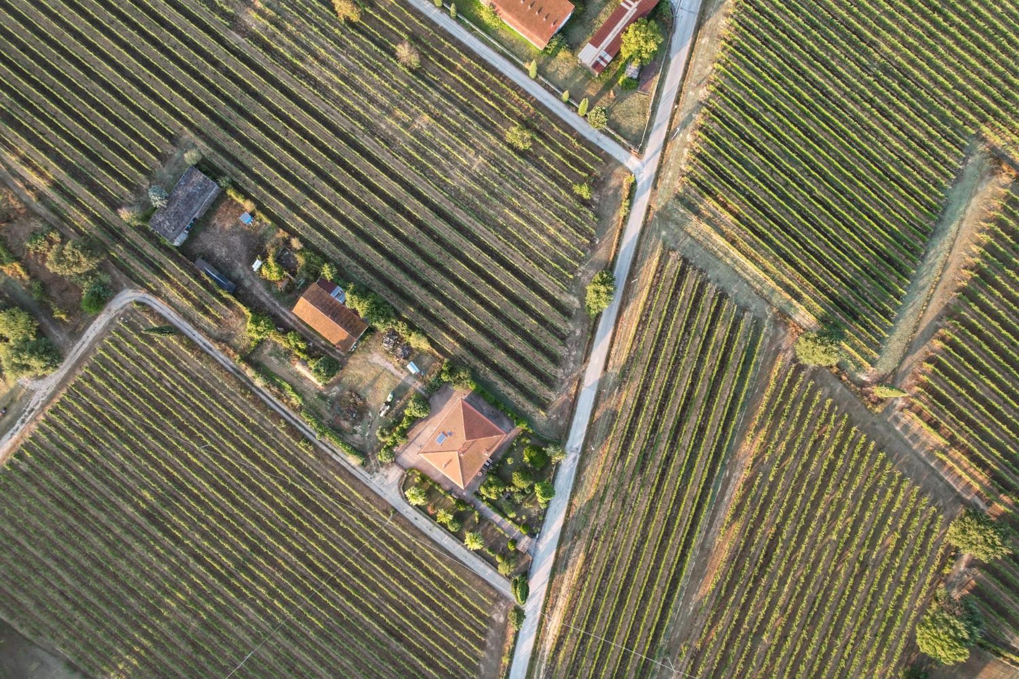 Cappannelle Country House Tuscany กาสติลิออน ฟิบอคคี ภายนอก รูปภาพ