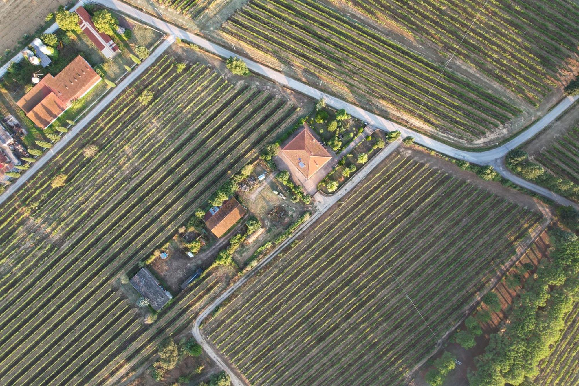 Cappannelle Country House Tuscany กาสติลิออน ฟิบอคคี ภายนอก รูปภาพ