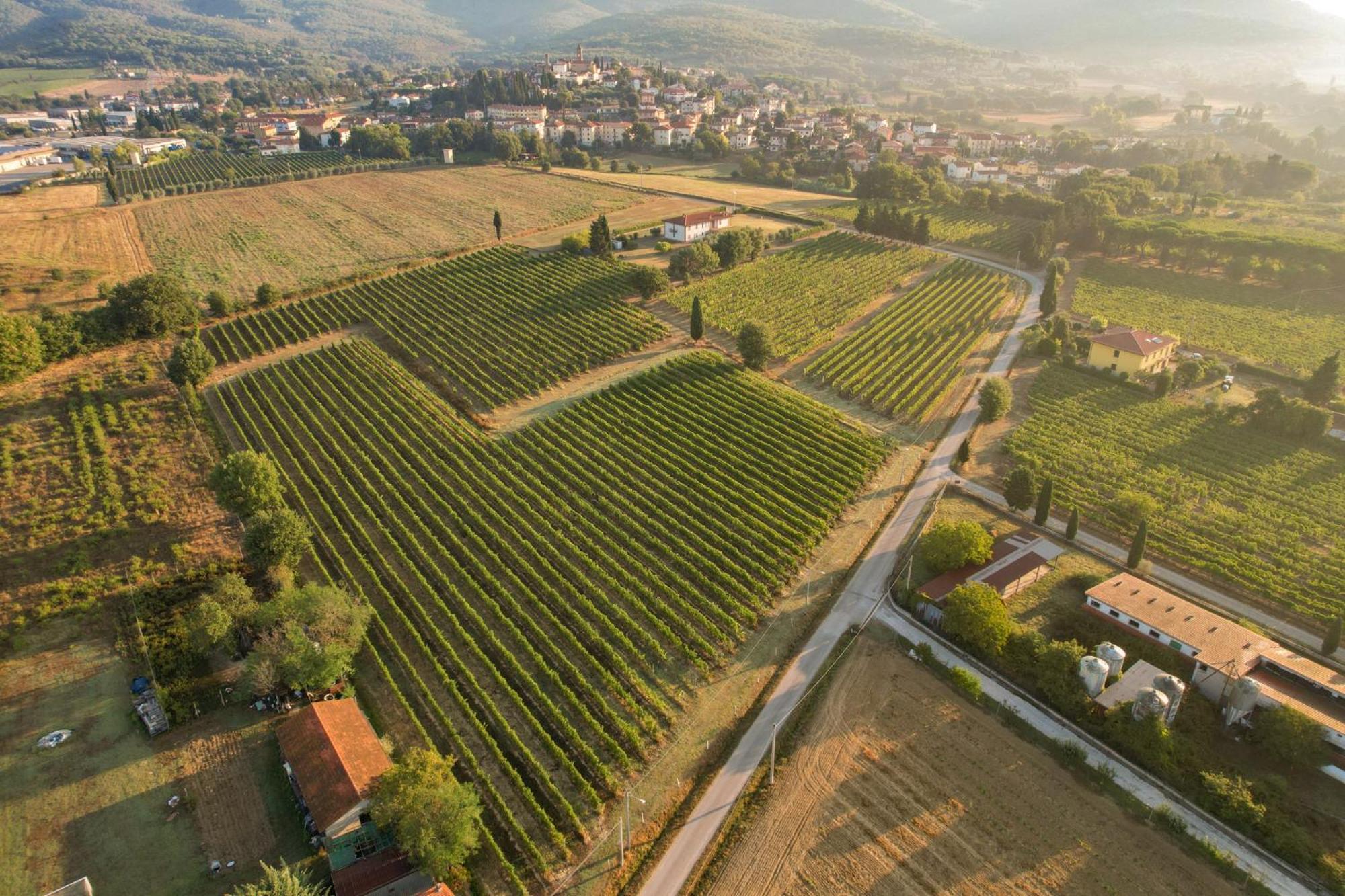 Cappannelle Country House Tuscany กาสติลิออน ฟิบอคคี ภายนอก รูปภาพ