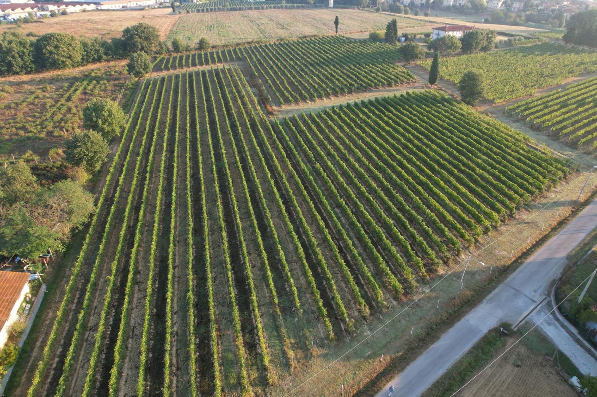 Cappannelle Country House Tuscany กาสติลิออน ฟิบอคคี ภายนอก รูปภาพ