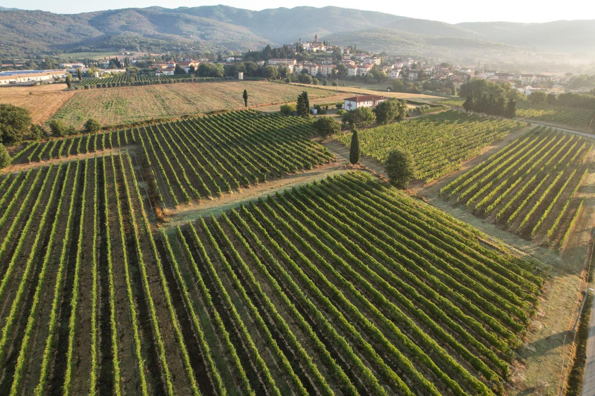Cappannelle Country House Tuscany กาสติลิออน ฟิบอคคี ภายนอก รูปภาพ