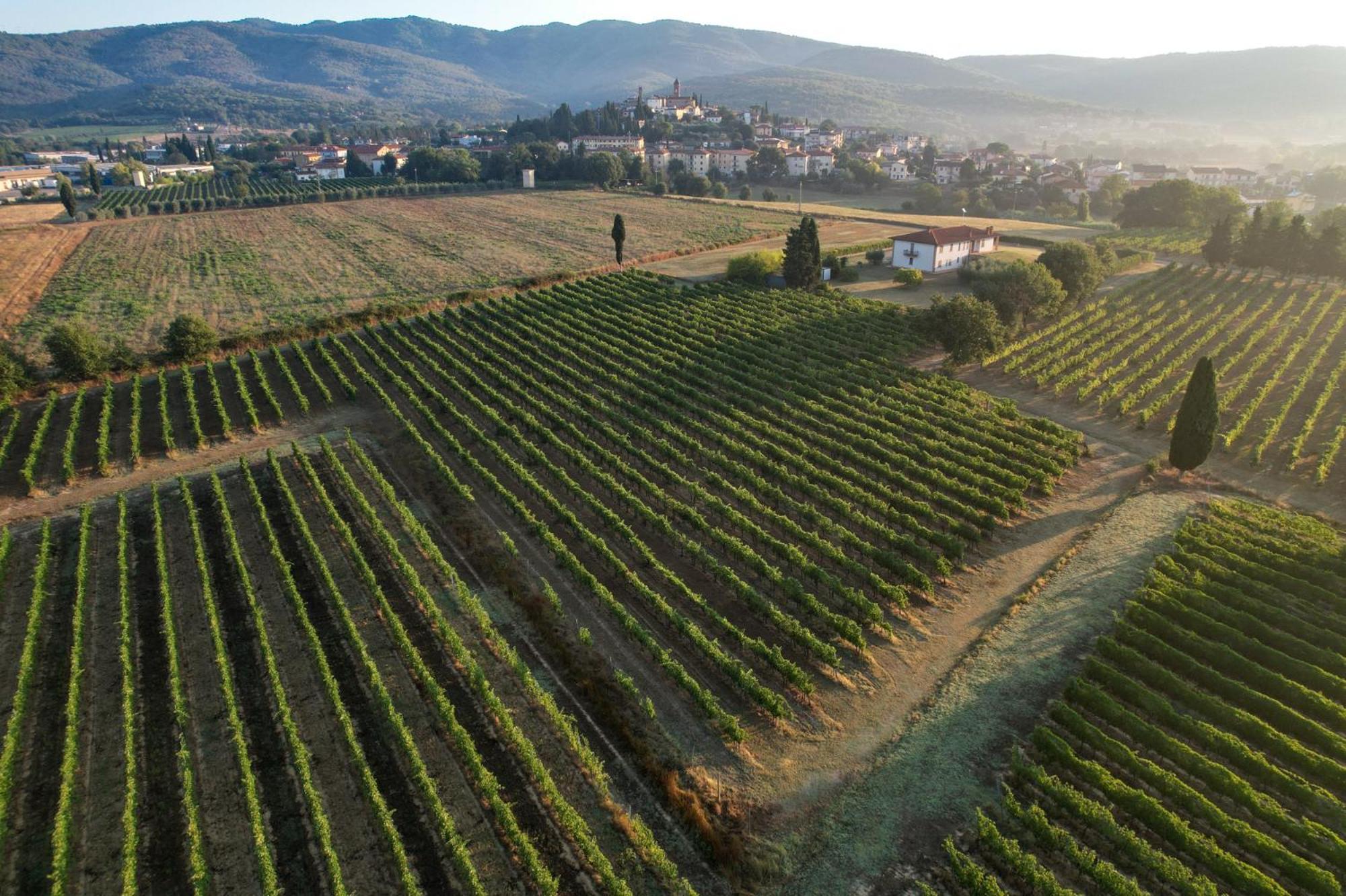Cappannelle Country House Tuscany กาสติลิออน ฟิบอคคี ภายนอก รูปภาพ