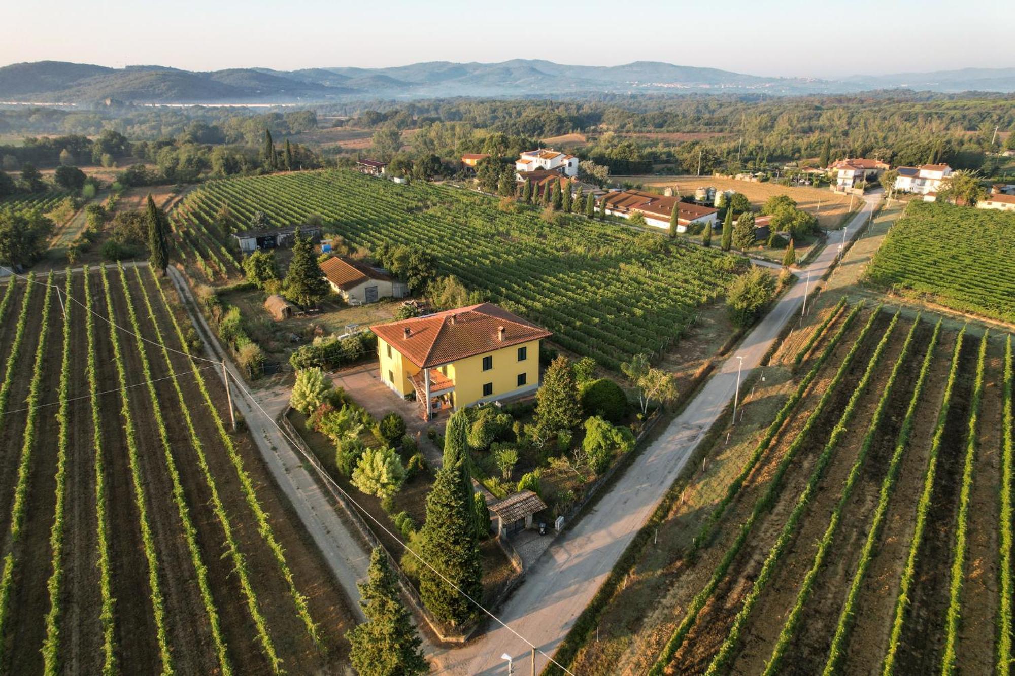 Cappannelle Country House Tuscany กาสติลิออน ฟิบอคคี ภายนอก รูปภาพ